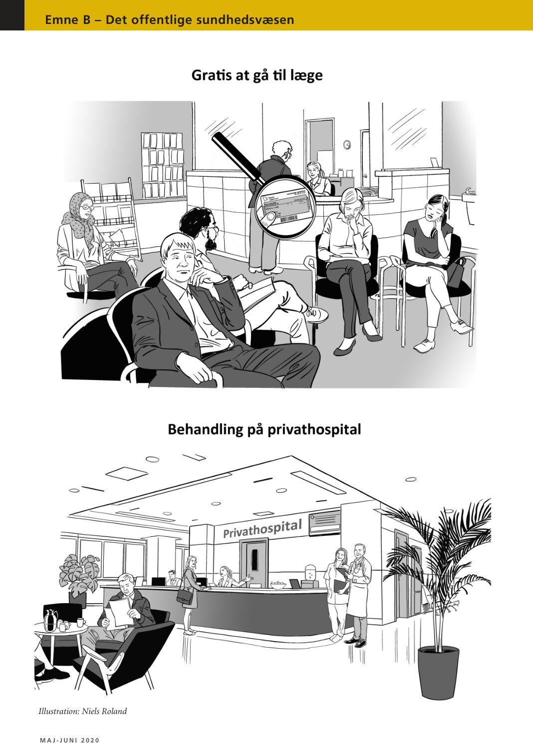 The public healthcare system