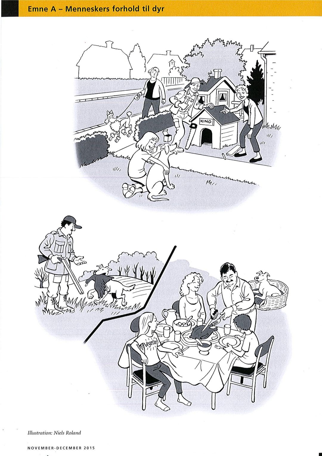 Humans' relationship with animals